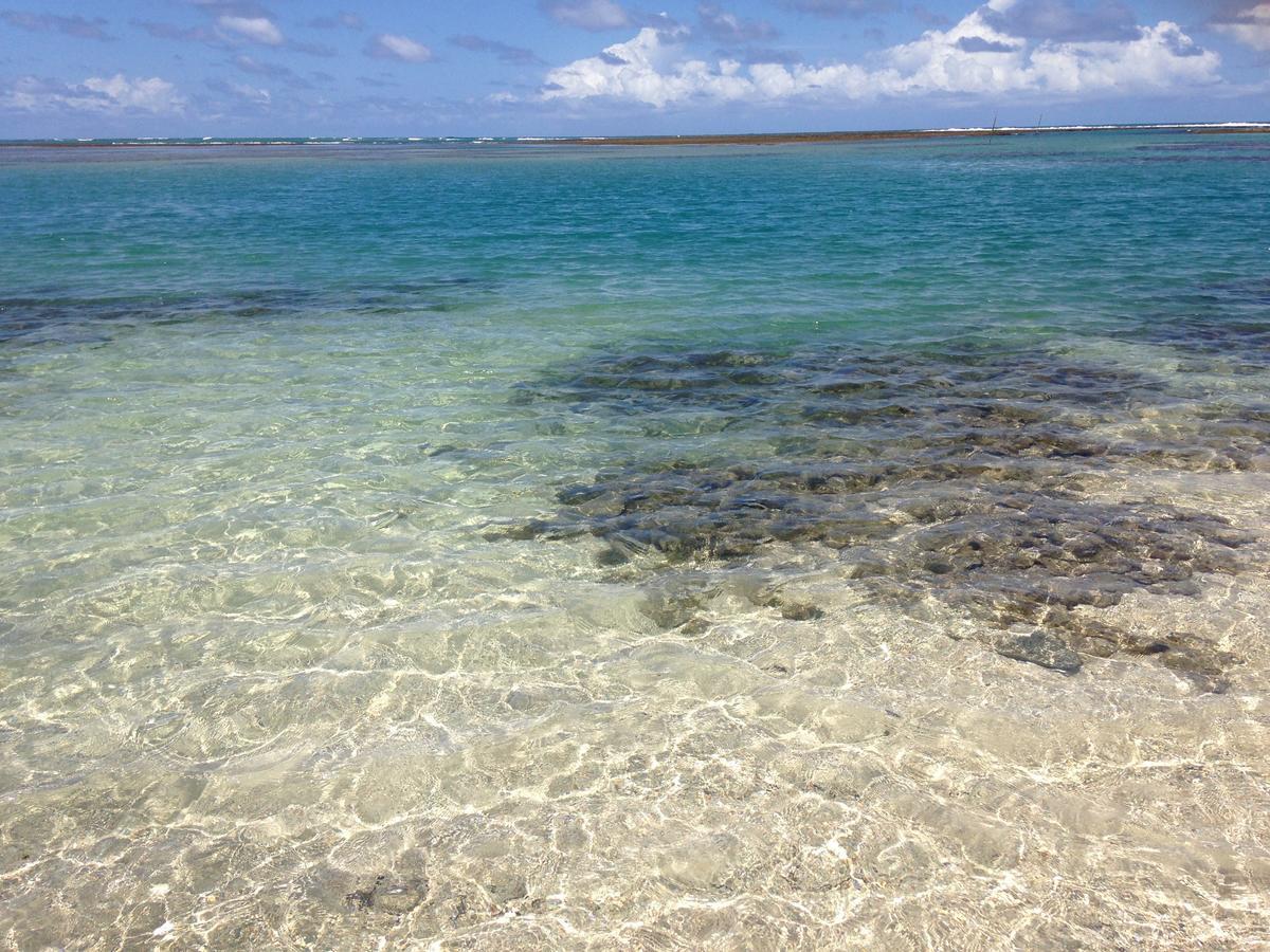 Villa Albardao Serrambi Pôrto das Galinhas エクステリア 写真