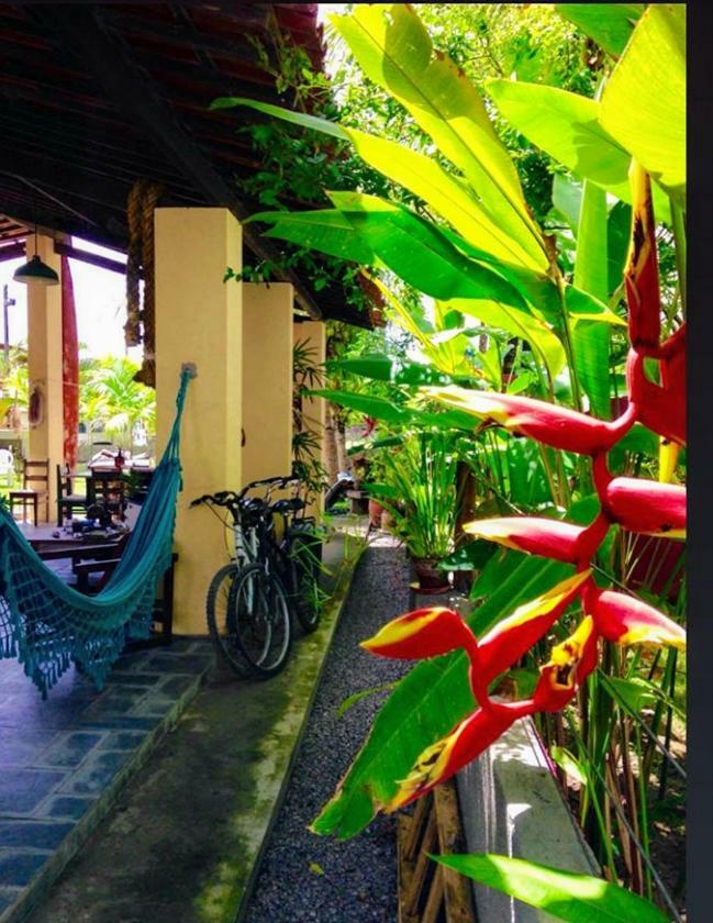 Villa Albardao Serrambi Pôrto das Galinhas エクステリア 写真